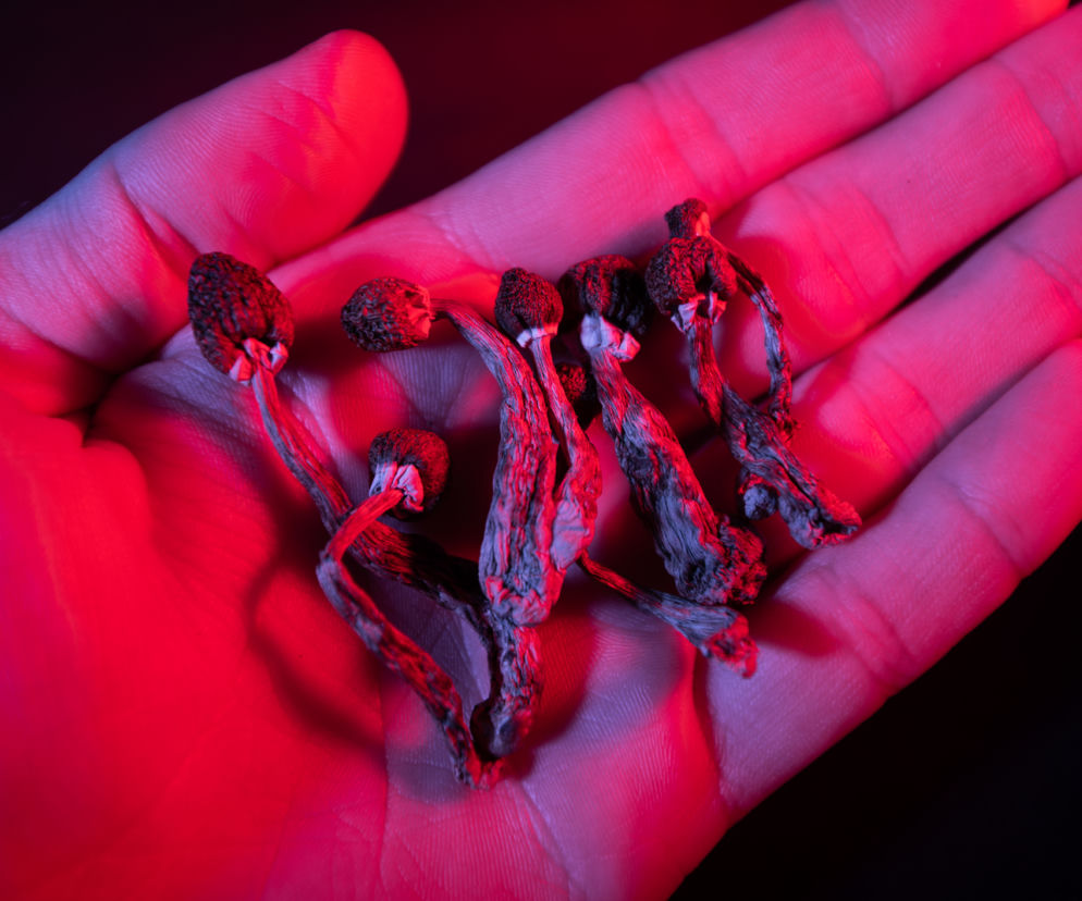 Terapia psychodeliczna