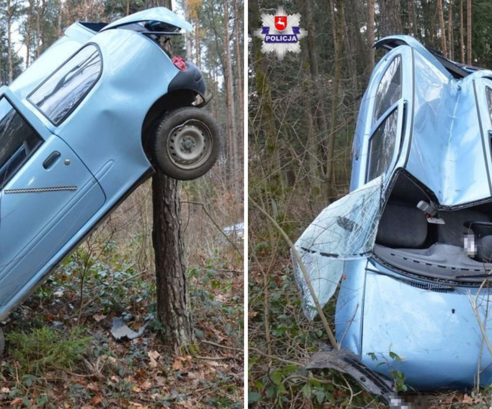 Wypadła z drogi – samochód zawisł na drzewie. 86-latka nie mogła się uwolnić!