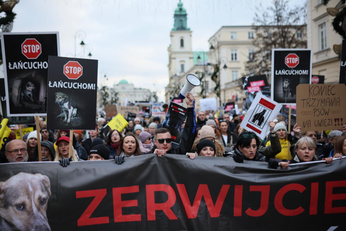 Wielki Marsz dla Zwierząt po wecie prezydenta