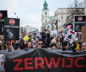 Wielki Marsz dla Zwierząt po wecie prezydenta