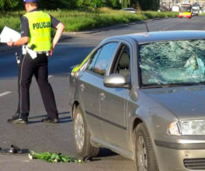 Skoda zmiotła staruszkę. Na jezdni leżą buty i kwiaty 