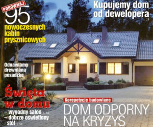 Murator 1/2013 okładka
