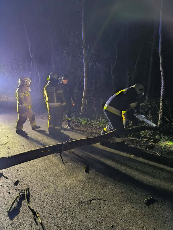 Interwencje Strażaków przy likwidacji szkód spowodowanych przez gwałtowny wiatr i burze