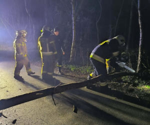 Interwencje Strażaków przy likwidacji szkód spowodowanych przez gwałtowny wiatr i burze