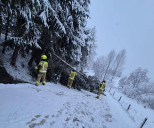 Podkarpacie pod śniegiem. Tysiące domów bez prądu, drogi sparaliżowane. Sprawdź, co dzieje się w regionie!