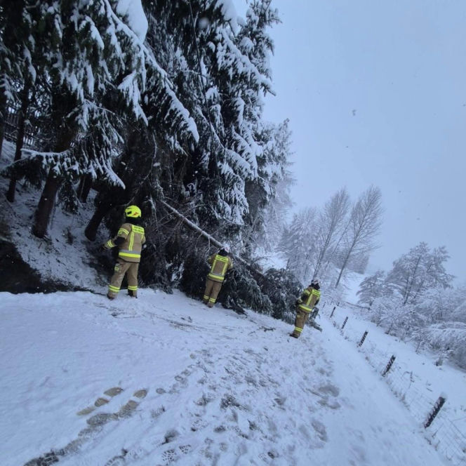 Podkarpacie pod śniegiem. Tysiące domów bez prądu, drogi sparaliżowane. Sprawdź, co dzieje się w regionie!