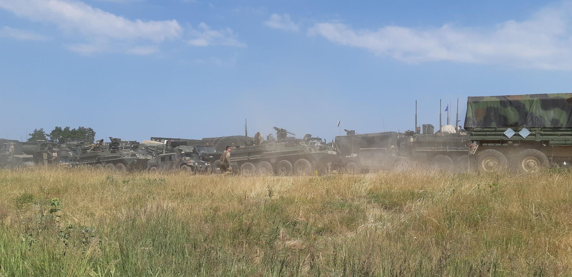 Wozy Stryker w Polsce