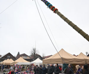 35 metrów i 80 centymetrów liczy palma, która zwyciężyła tegoroczny konkurs palm w Lipnicy Murowanej