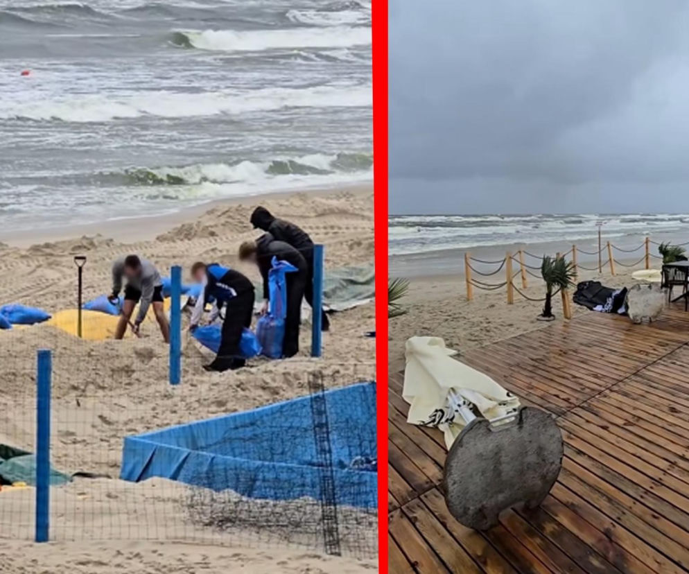 Ludzie sypiący piasek do worków na plaży. Obok na grafice zalany taras lokalu. O skutkach sztormu w Stegnie przeczytasz w SE.