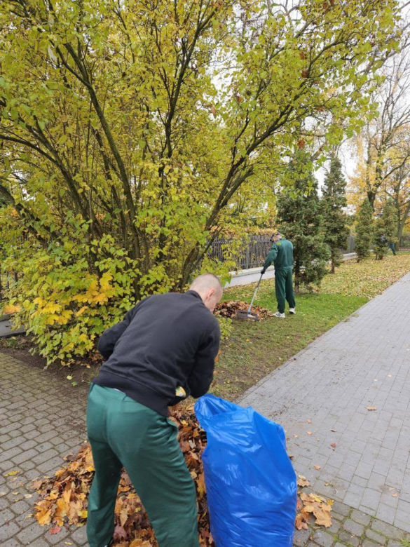 Siedlce: Osadzeni z Zakładu Karnego robią porządki na terenie cmentarza