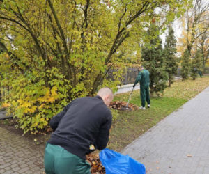 Siedlce: Osadzeni z Zakładu Karnego robią porządki na terenie cmentarza