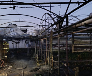 Pożar w zakładzie ogrodniczym.  Jedna osoba poszkodowana