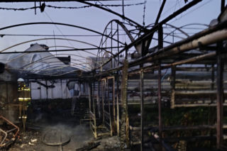 Pożar w zakładzie ogrodniczym w Lesznie. Jedna osoba została poszkodowana