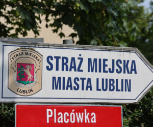 Nastała jesień. Jak Straż Miejska zadba o bezpieczeństwo mieszkańców?