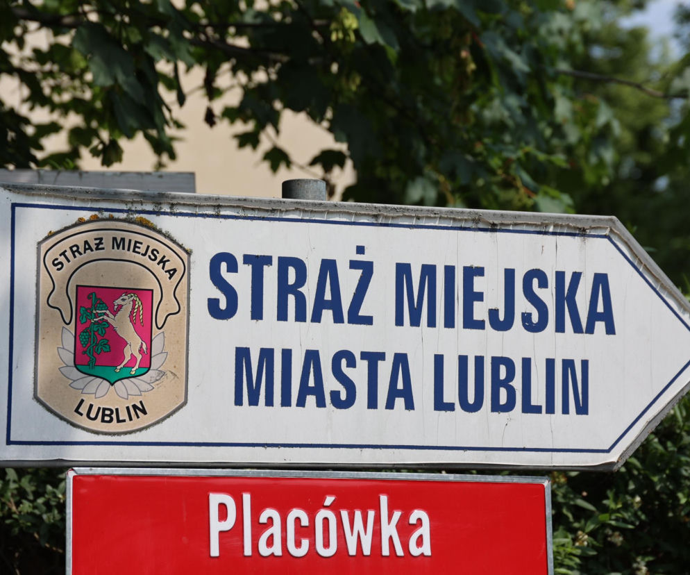 Nastała jesień. Jak Straż Miejska zadba o bezpieczeństwo mieszkańców?