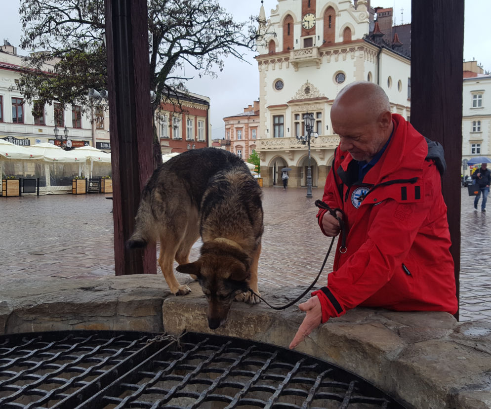 Powstał film o psach-ratownikach. Już 10-go maja do obejrzenia w WDK w Rzeszowie