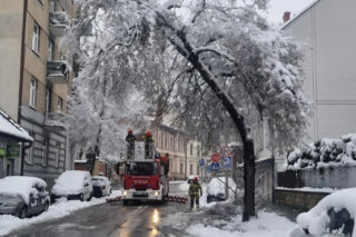 Interwencje strażaków w Tarnowie