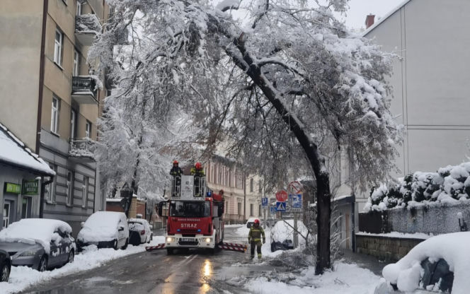 Interwencje strażaków w Tarnowie