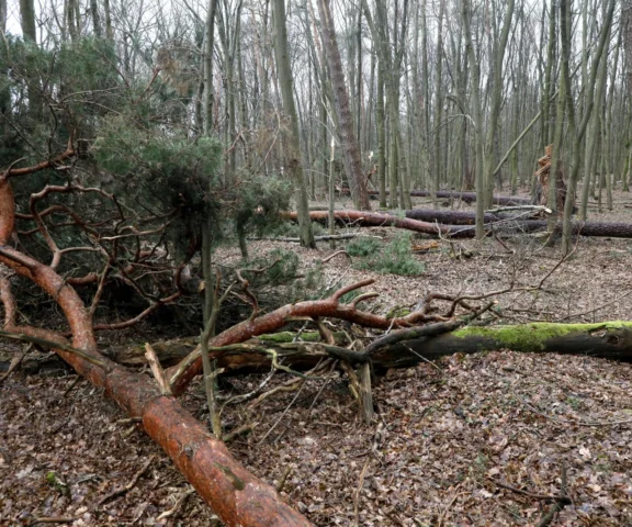 Śmiertelny wypadek podczas wielkanocnej zabawy. Zginęło 10-miesięczne dziecko i dwie kobiety