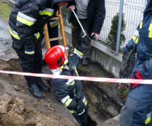 Zastęp strażaków na ratunek suni
