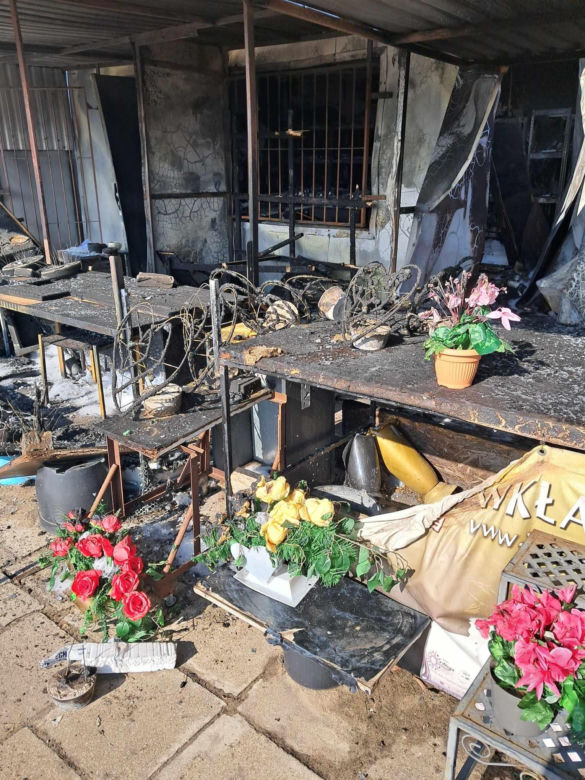 Tragiczny finał pożaru w Toruniu. Ogień pojawił się niespodziewanie, zginął piesek