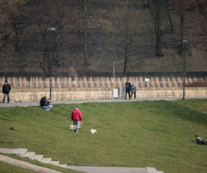 Pełne Błonia i tłumy spacerowiczów. Tak wygląda kwarantanna w Krakowie
