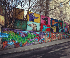 Mural na LSM