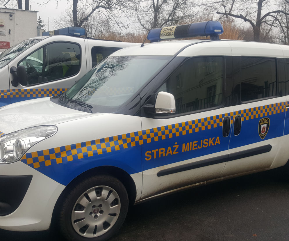 straz miejska grudziadz