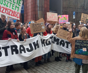Wielki protest w Krakowie. Strajkowali w obronie klimatu 