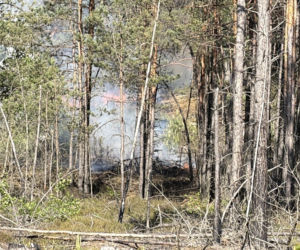 Strażacy walczą z potężnym pożarem na Mazowszu