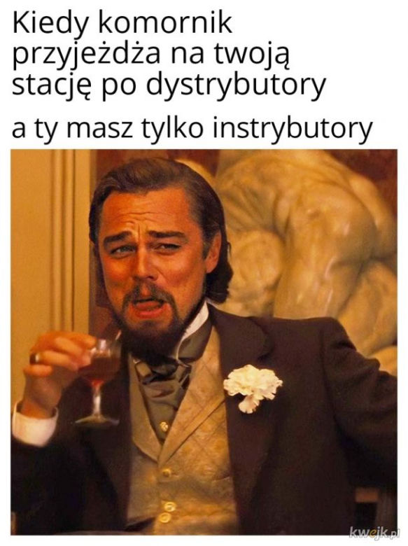 Instrybutor podbija internet