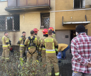 Pożar mieszkania na parterze. Strażacy z ognia wynieśli przerażonego kota