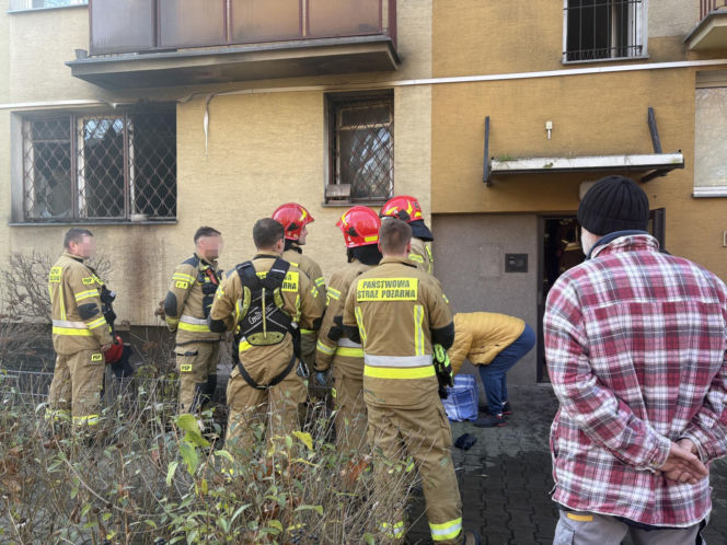 Pożar mieszkania na parterze. Strażacy z ognia wynieśli przerażonego kota