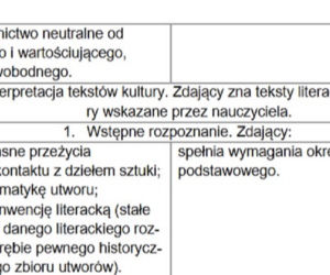 Matura 2021, język polski. To trzeba umieć, żeby zdać! [WYMAGANIA PROGRAMOWE] 