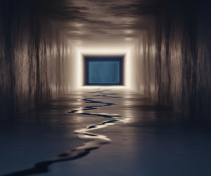 Skatowany struś Zenek. Jaka kara czeka zwyrodnialca?