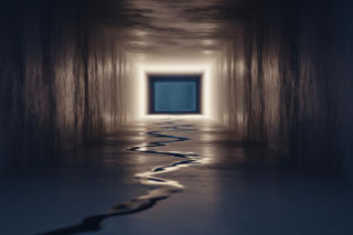 Skatowany struś Zenek. Jaka kara czeka zwyrodnialca?