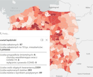 Koronawirus w województwie śląskim. Tak wygląda sytuacja w poszczególnych powiatach [RAPORT, 19 MARCA]