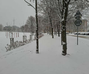 Atak zimy w Świętokrzyskiem. Śnieg i trudne warunki drogowe 23 Listopada 2025