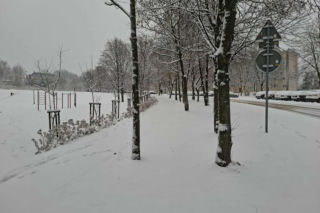 Atak zimy w Świętokrzyskiem. Śnieg i trudne warunki drogowe 23 Listopada 2025