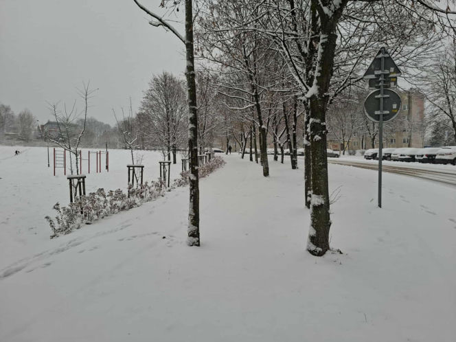 Atak zimy w Świętokrzyskiem. Śnieg i trudne warunki drogowe 23 Listopada 2025