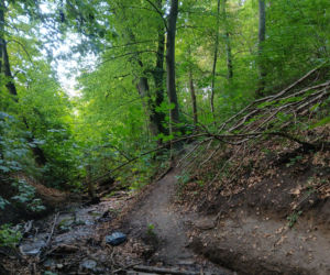Wandale zniszczyli przyrodniczy skarb pod Bydgoszczą. Jaskinia „Bajka” oszpecona farbą