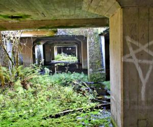 Tajemnicza podziemna hala w woj. warmińsko-mazurskim. Nikt nie wie, co tam się znajdowało