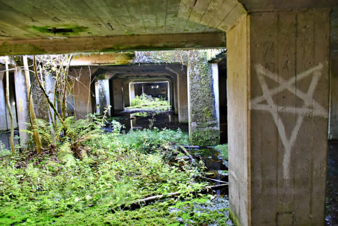 Tajemnicza podziemna hala w woj. warmińsko-mazurskim. Nikt nie wie, co tam się znajdowało