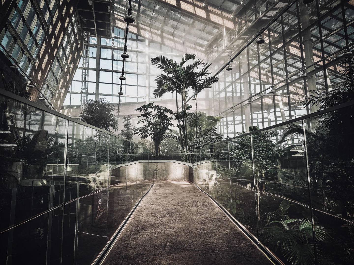 Egzotarium w Sosnowcu