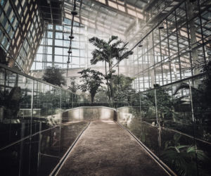 Egzotarium w Sosnowcu