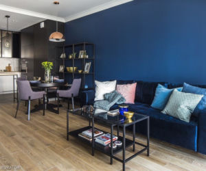 Salon z kuchnią