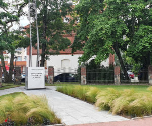 Olsztyn pięknieje. Kolejne letnie nasadzenia można już podziwiać [ZDJĘCIA]