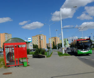 Tekla grasuje w Lublinie