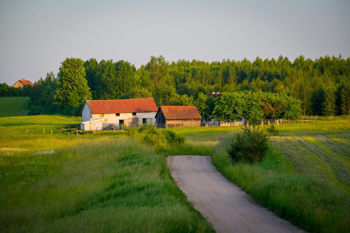 10. Gmina wiejska Pruszcz Gdański 
