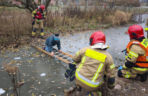 10-latek wszedł na zamarznięte oczko wodne. Tafla zaczęła pękać